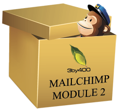 3by400 MailChimp Module2
