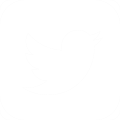 Twitter logo, white