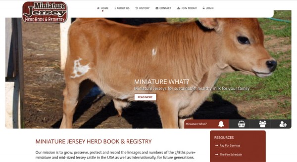 Miniature Jersey Herd Book website homepage